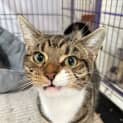 Photo of Tiggy