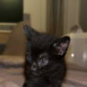 Photo of Tiny