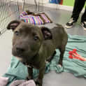 Photo of Thelma