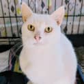 Photo of Princess