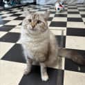 Photo of Meika