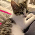 Photo of Dorothy