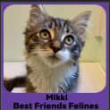 Photo of Mikki