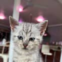 Photo of Cheri