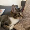 Photo of Truffle