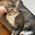 Photo of Truffle