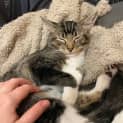 Photo of Truffle