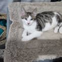 Photo of Jasper