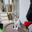 Photo of Buddy