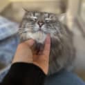 Photo of Mortimer