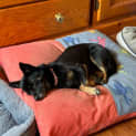 Photo of Itty Bitty