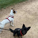 Photo of Itty Bitty