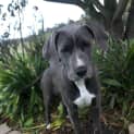 Photo of Maxine