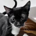 Photo of Milly