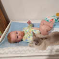 Photo of Sassie Cassie 