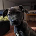 Photo of Thelma