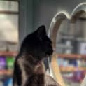 Photo of Havarti