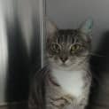 Photo of Rosie