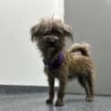 Photo of Penelope