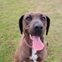 Photo of Xena