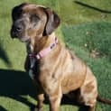 Photo of Xena