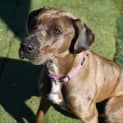 Photo of Xena