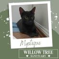 Photo of Mystique