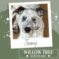 Photo of Jimmy