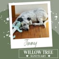 Photo of Jimmy