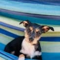 Photo of Jemima