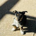 Photo of Jemima