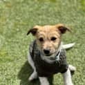 Photo of Jimmy