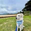 Photo of Winnie