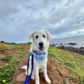Photo of Winnie