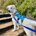 Photo of Winnie