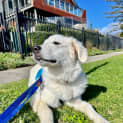 Photo of Winnie