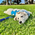 Photo of Winnie