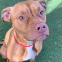 Photo of Hazel