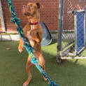 Photo of Hazel