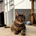 Photo of Sierra 