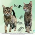 Photo of Lego
