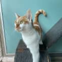 Photo of Kiara