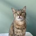 Photo of Tycho