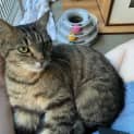 Photo of Tycho