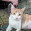 Photo of Ripley