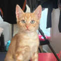 Photo of Sam
