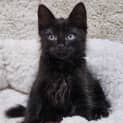 Photo of Zuko