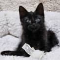 Photo of Zuko