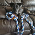 Photo of Kenzo