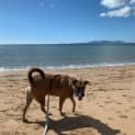 Photo of Molly